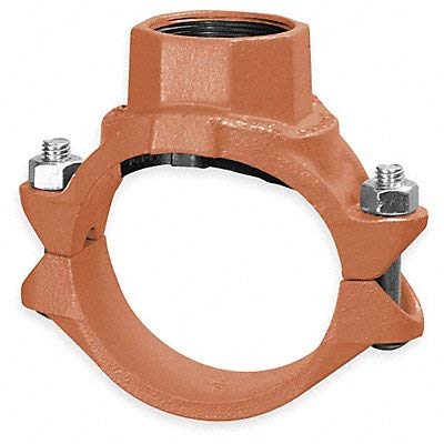 Clamp-T w/FNPT Branch, 8x2.5