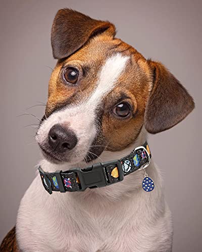 Solmoony Cute Dog Collar For Small Medium Large Dogs, Small Dog Collar For Females And Male, Boy And Girl Dog Collars, Spring Dog Collar, Male And Female Dog Collars. (S, Black) #TOP3