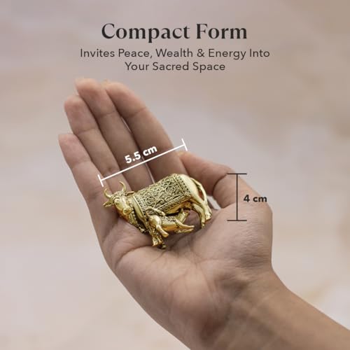 Image of Astrotalk Kamdhenu Cow Idol in Pure Brass | Compact Kamadhenu Idol for Vastu, Mandir for Home, Temple Shelf | Ideal Diwali Gift or Return Gifts for Pooja | Puja Mandir Decor | 5.5x2.5x4 cm | 1 Piece