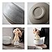 TEANAGOO Matcha Whisk Set, 7 Pcs Matcha Set, Matcha Kit for Ceremony, Matcha Tea Set for Making Breakfast/Latte, Matcha Whisk Set and Ceramic Bowl with All Accessories, Gift for Matcha Lover