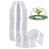 Fituenly Plant Domes Domes 50pcs Protecteur Garde