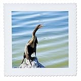 Square dimensions (in inches): 25 L x 25 W, image dimensions (in inches): 23 L x 23 W 100% poloyester; image is soft to touch. Made in USA Edges have pinking shear cut Image will not fade with washing. Image not a transfer, part of material