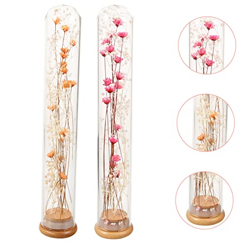 Gatuida 2pcs Bouquet de Flores Secas en Botella de Vidrio miniatura 6