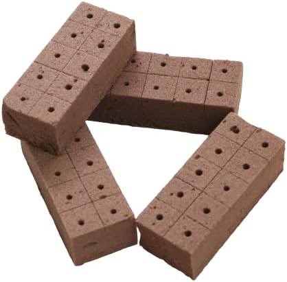 Phenolic Foam Oasis Cubes - Box of 40, Soil Less Germination, Size 2.5 X 2.5 X 3.7 Cm Each, Standard Size