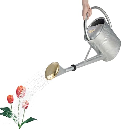 2 Gallon Plant Watering Can with Removable Spout - Galvanized
