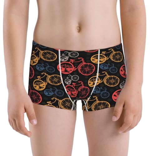 Boys' Cotton Boxer Brief Soft Underwear-Compass And Mountains In Bicycle Wheels