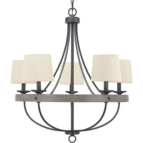 Progress Lighting Gulliver Collection 5-Light Coastal Chandelier Light Graphite,Black - Image 9