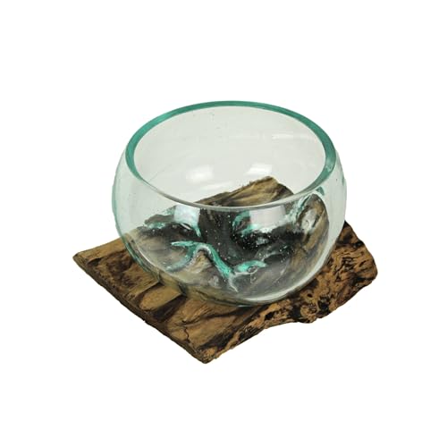 Molten Glass Bowl on Teak Driftwood, 5 Inches