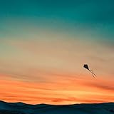 Carpe Diem