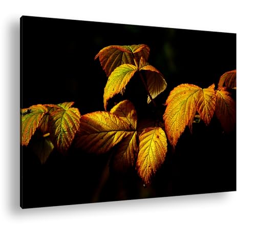 Feuilles d'automne colorées la nuit deyoli cadre bois tableau déco murale salon 90x60cm
