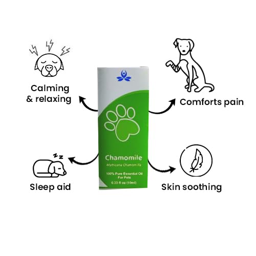 Aceite esencial de manzanilla pet-friendly 10ml miniatura 2