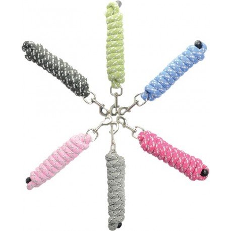 Hy Fleck Lead Rope with trigger clip (Neon Green/Blue/White)