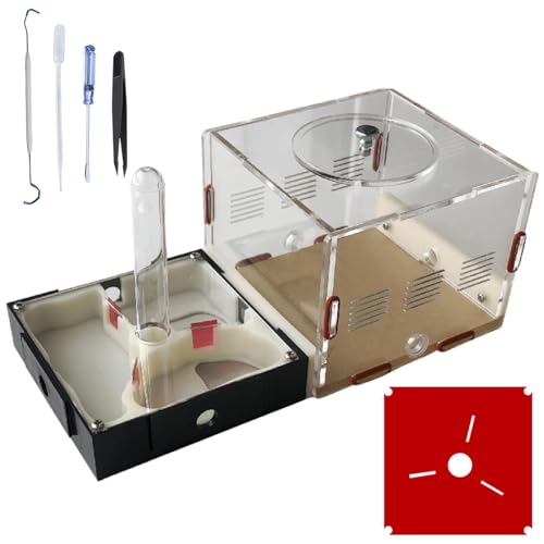best ant farms
