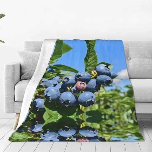 Couverture en flanelle douce PHAYAH lit et bureau 152x203cm