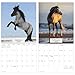 2026 Horses Mini Wall Calendar