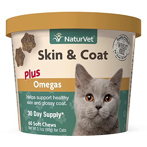 10 Best Omega3 Treats For Cats