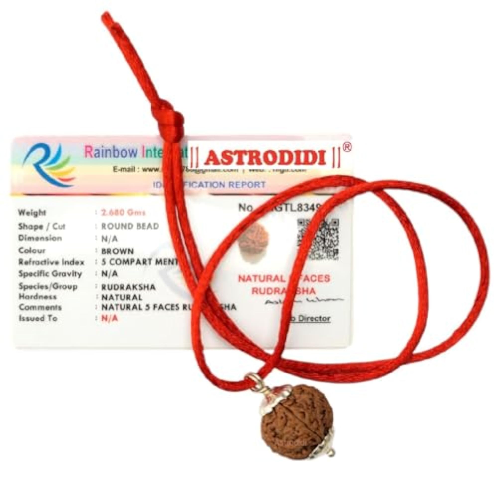 5 Mukhi Rudraksha Pendant, Certified Nepali Original