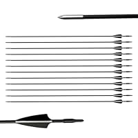 biubiusot 12er Pfeile für Bogenschießen 31 Zoll Bogenpfeile Jagdpfeile Pfeile Übungspfeile Fiberglaspfeile für Anfänger Pfeil und Bogen Zielübung(schwarz)