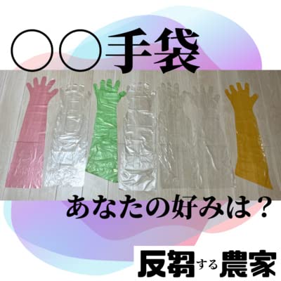 #15直腸検査用手袋について