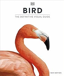 History: The Definitive Visual Guide (DK Definitive Visual ...
