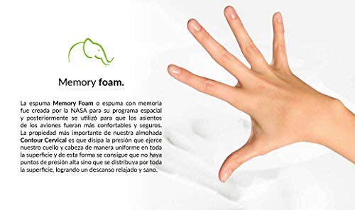 Recopilación de Lester que Puedes Comprar On-line. 6 Recopilación de Lester que Puedes Comprar On-line. 6