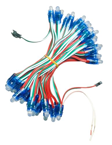 Image of LED Pixel Light Kit, 1000 Led Lights with T1000s Controller and 2 Power Supply, Digital Addressable (Pack of Full Setup)