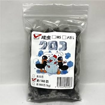 Amazon | 【邑楽ファーム・クール便発送】冷凍クロコオロギ 成虫サイズ