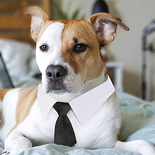 Segarty Dog Necktie, Dog Tie Collar for Medium and Large Dogs, Adjustable Formal Collar Neck Tie for Dogs and Cats Tuxedo Outfits, Birthday Party Gift, Wedding, Business, Photo Wearing