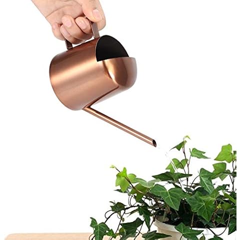 Mumusuki 300 ml Feste Gießkanne Kleine Gießkanne aus rostfreiem Stahl Blumentopf Cover