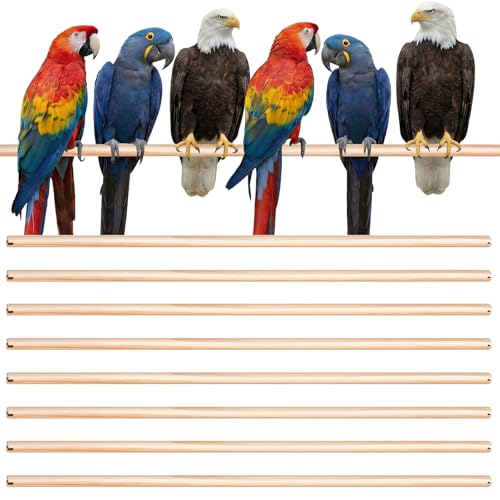 Image of Sintuff 8 Pcs Bird Perches for Cage Accessories, Wooden Perch Rods Replacement with Double Head Slots, 0.6 Inch Diameter Natural Wood Stand for Parrot Macaw Cockatoo Parakeet (30 Inches)