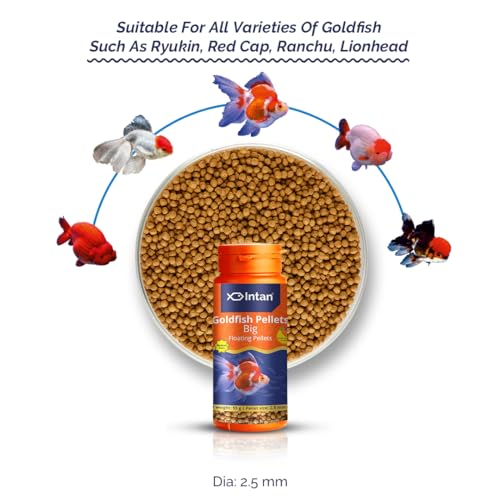 Image of Intan Goldfish Pellets for Fish | Medium Pack Aquarium Fish Food | Daily Nutrition Fish Feed | Big Floating Pellet 55 Gm, 2.5 mm Dia,All Life Stages