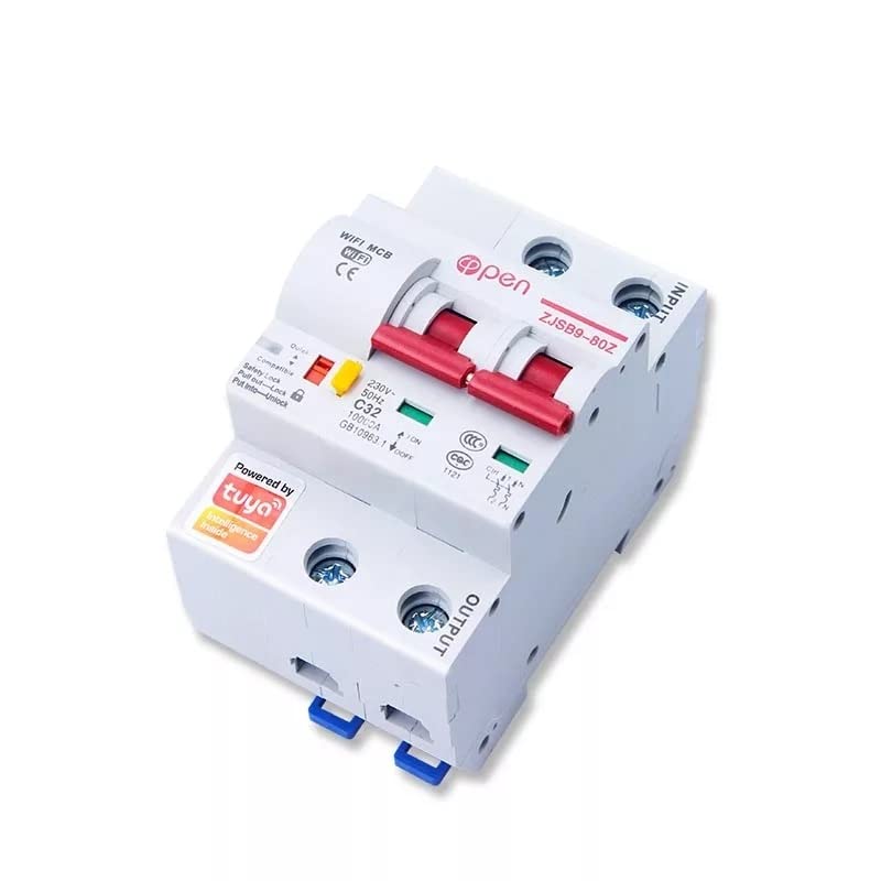 AC 220V-240V Smart Circuit Breaker, 2 Poles Smart Switch, Controlled by Tuya App, Function of Leakage/Overload Protection (80A)-image-9