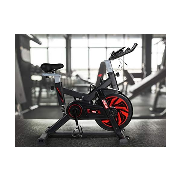 Exercise Bike 13Lbs Flywheel Cycling Exercise Stationary Bikes for users up to 175cm Cardio Indoor Workout Machine Bike Belt Drive Resistance Levels with LCD Digital Monitor & Pulse for Home Gym Lose Weight