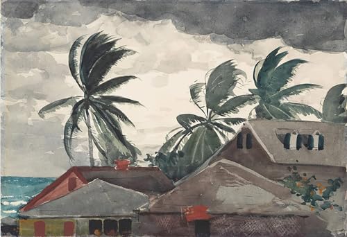 Ouragan Bahamas Winslow Homer affiche toile impression d'affiches art portrait decoration mural
