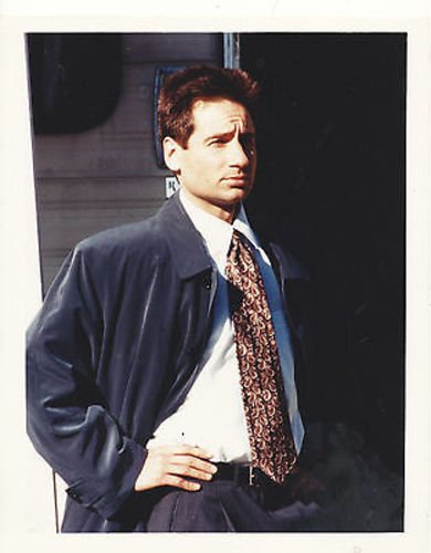DAVID DUCHOVNY/X-FILES/8X10 COPY PHOTO CC2963