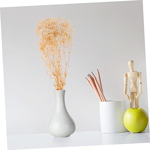 Ramo de flores secas Gypsophila para decoración miniatura 2