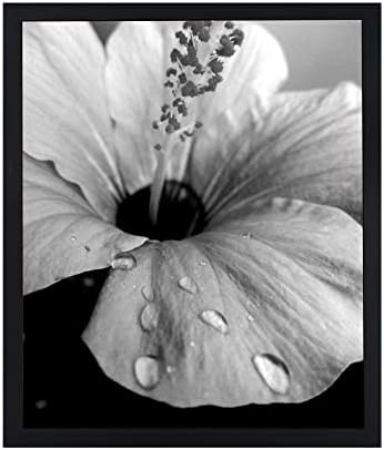 14x17 Black Picture Frames Display Poster Frame Without Mat Solid Wood Photo Frame Non Glass Front Wall Hanging Decor Home Decoration-14x17 Black