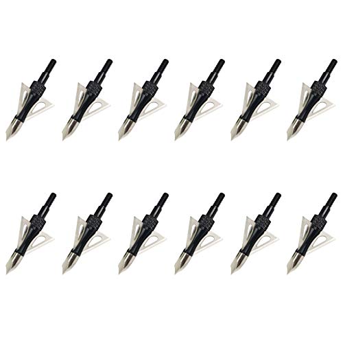 Best Compound Bow Bolt 2024 Where to Buy?