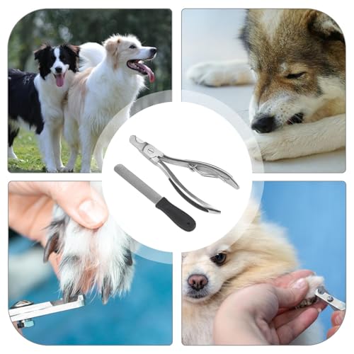 Tijeras de acero inoxidable resistentes para garras de perros 6