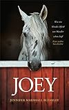 Joey - Wie ein blindes Pferd uns Wunder sehen ließ: Ein wahre Geschichte.