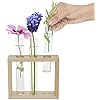 Jeu De 2 Vases Muraux En Verre Transparent Forme Cône - Pour Hydroponie, Décoration Intérieure, Fleurs Fraîches Ou Séchées - 3