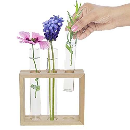 Belle Vous Muur Hang Glazen Testbuis Planten Vaas – 4 Bloemen Buisjes (1 Reserve) met Houten Standaard – Tafeltop… - Image 4