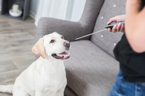Clicker Trixie 2282 Target Stick für interaktives Training