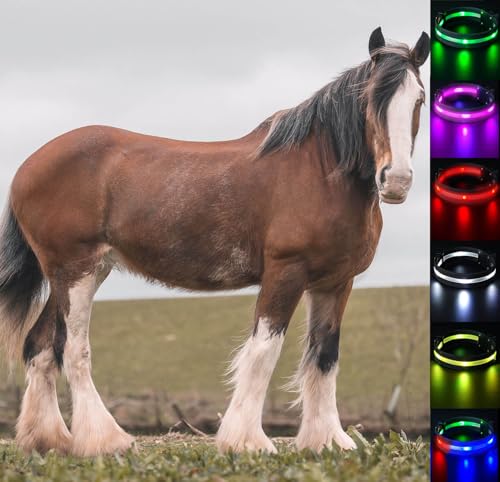 SUKEYME 4pcs LED Horse Leg Band, 7 Colors in 1 Light up Horse Tack, USB Rechargeable LED Horse Light - Added Visibility & Safety for Night Horse Riding (Draft Horse)