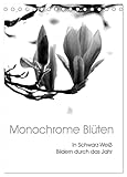 Blüten in Schwarz-Weiß Bildern , von Autor(in): Stefanie Küppers
