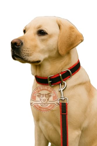 Image of THE BON BON Premium 5ft Dog Leash and Collar Set for Large Dogs | Heavy Duty Nylon with Reflective Stitching, Padded Handle, Adjustable Collar | Ideal for Walking and Training (Black, Medium)