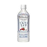 キリン 世界のキッチンから ソルティライチ PET 500ml×24本入×2ケース(48本)