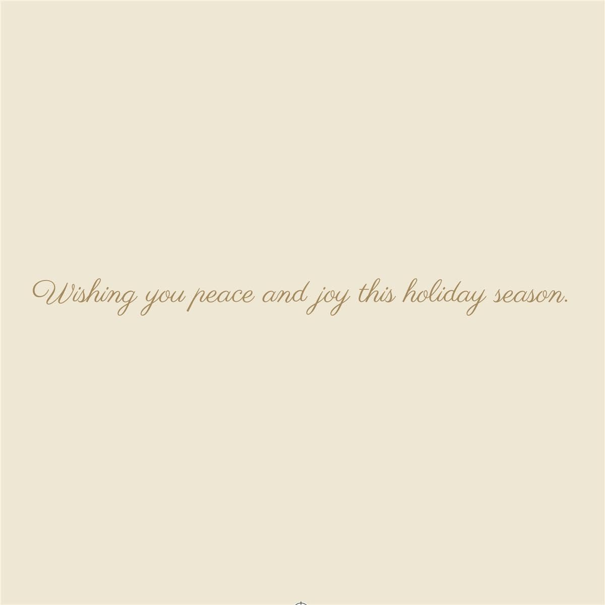 Graphique Hammered Dove Holiday Cards | Pack of 15 Cards with Envelopes | Christmas Greetings | Gold Foil | Boxed Set | 4.75" x 6.625" - Image 2