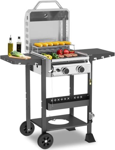 COWSAR 2-Burner 16000 BTU Propane BBQ Grill Stainless Steel Barbecue Grill with Cast Iron Grates Lid Side Shelf Removable Oil Tray and Lockable Wheels Ideal for Patio Backyard and Camping