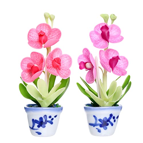 Imanes decorativos 3D flores orquídeas Vanda set 2 miniatura 1